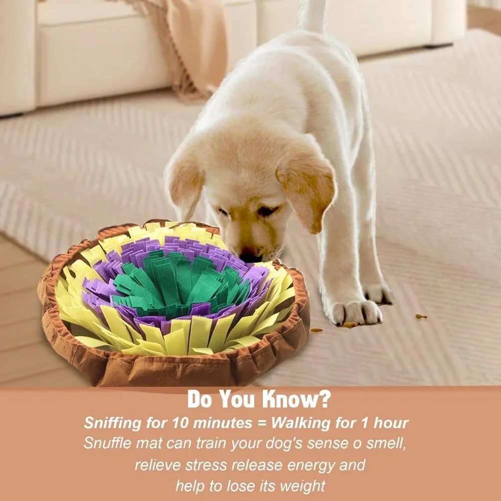 NWOT IFOYO Portable Washable Dog Snuffle Mat Interactive Puzzle Toy
